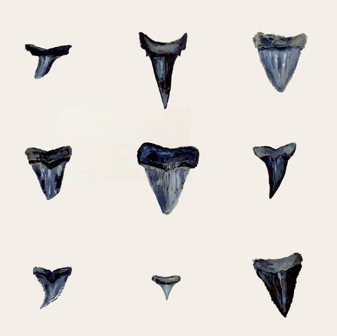 Shark Teeth & Shells Prints