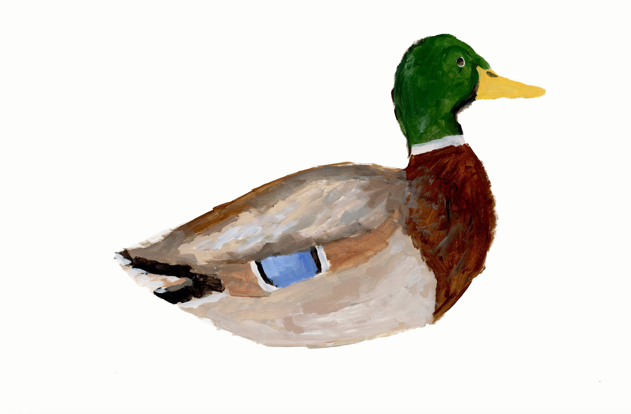 Duck 3 PRINT