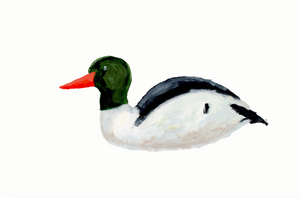 Duck 4 PRINT