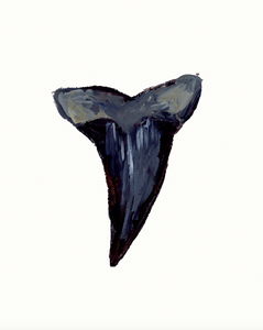 Shark Tooth 3 PRINT