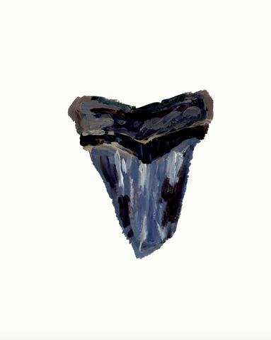 Shark Tooth 4 PRINT