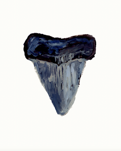 Shark Tooth 1 PRINT