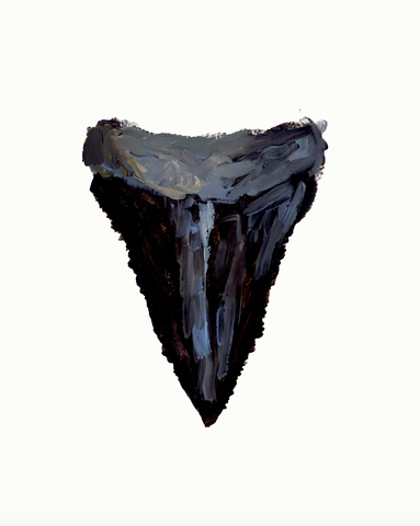 Shark Tooth 8 PRINT