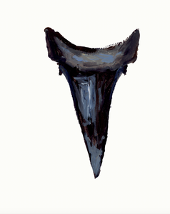 Shark Tooth 10 PRINT