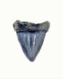 Shark Tooth 11 PRINT