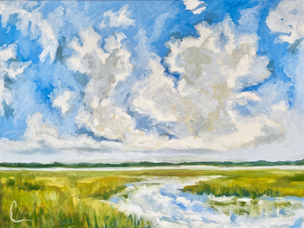 Marsh XV- 40x30 (44x34 framed)